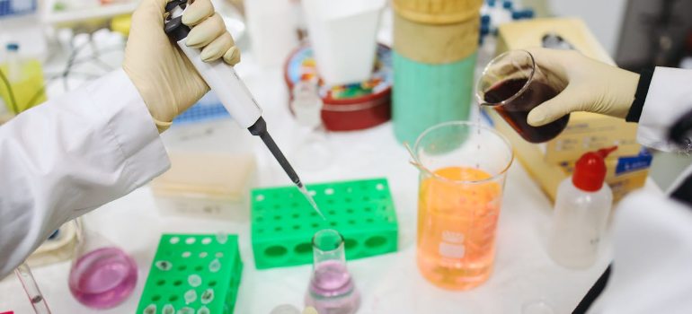 scientists working in the lab