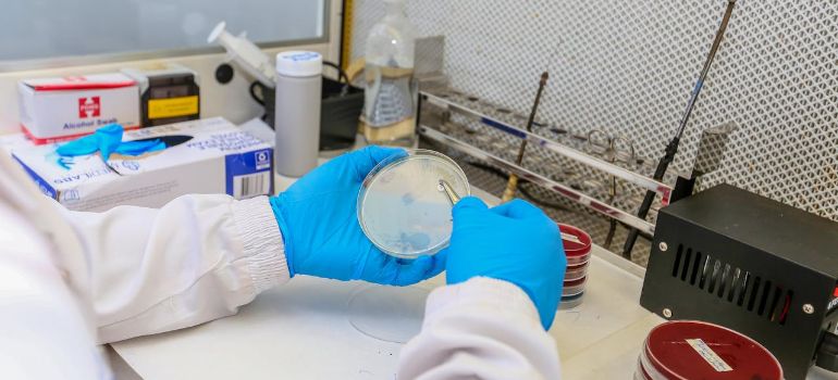a scientist handling laboratory samples and studying peptides vs proteins