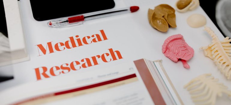 flat lay of medical research tools and anatomical models on a desk