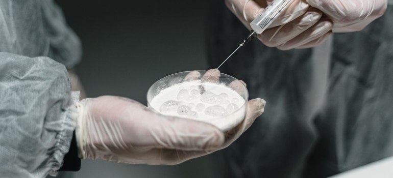 researchers conducting a scientific experiment with growth hormone peptides