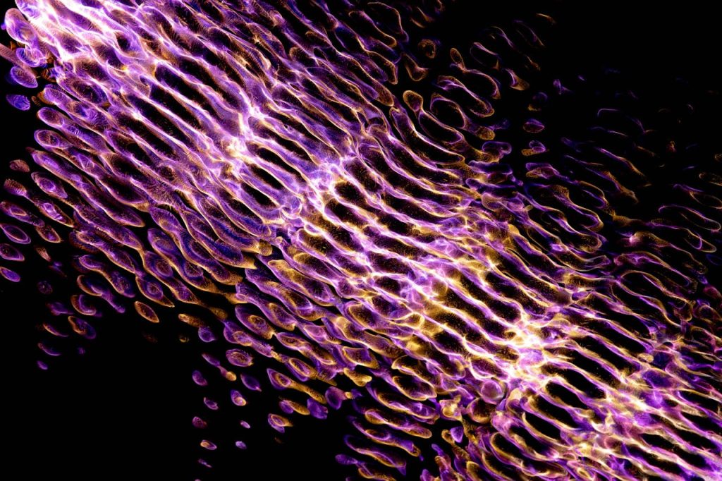 Mitochondrial and Cellular Peptides: A Research Overview