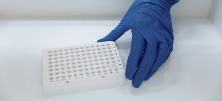 a scientist with protective gloves handling test samples in a sterile laboratory environment