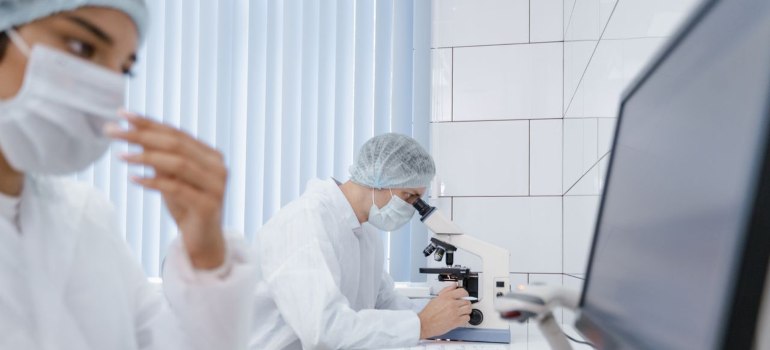 two researchers at a desk studying nootropic peptides