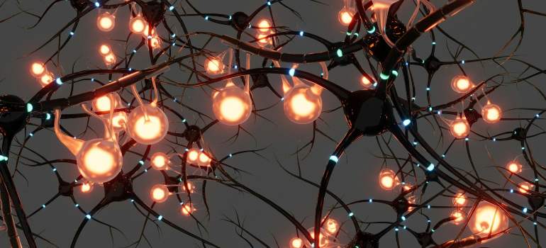 an image of neurons
