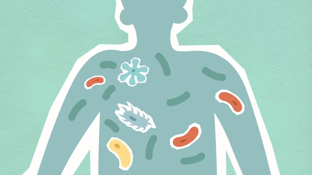 The Overlap No One Talks About: Immune Peptides and Neuroendocrine Signaling in Research