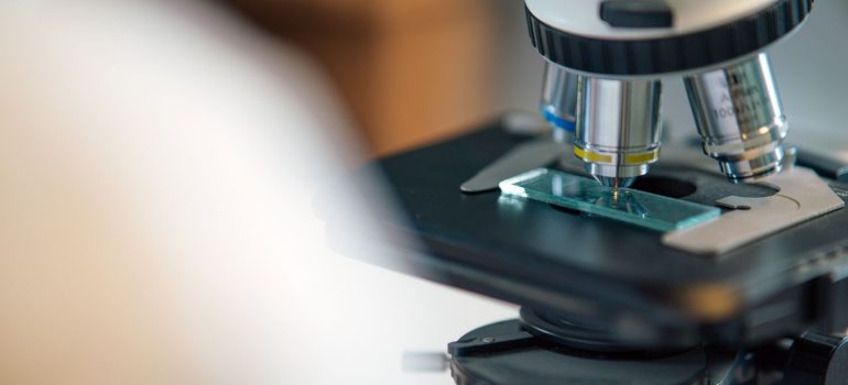 Microscope slide setup used for laboratory peptide research