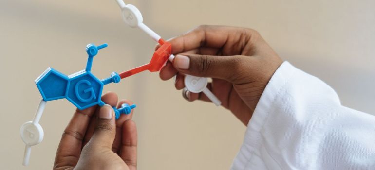 a close-up of a scientist's hands holding a colorful molecular model